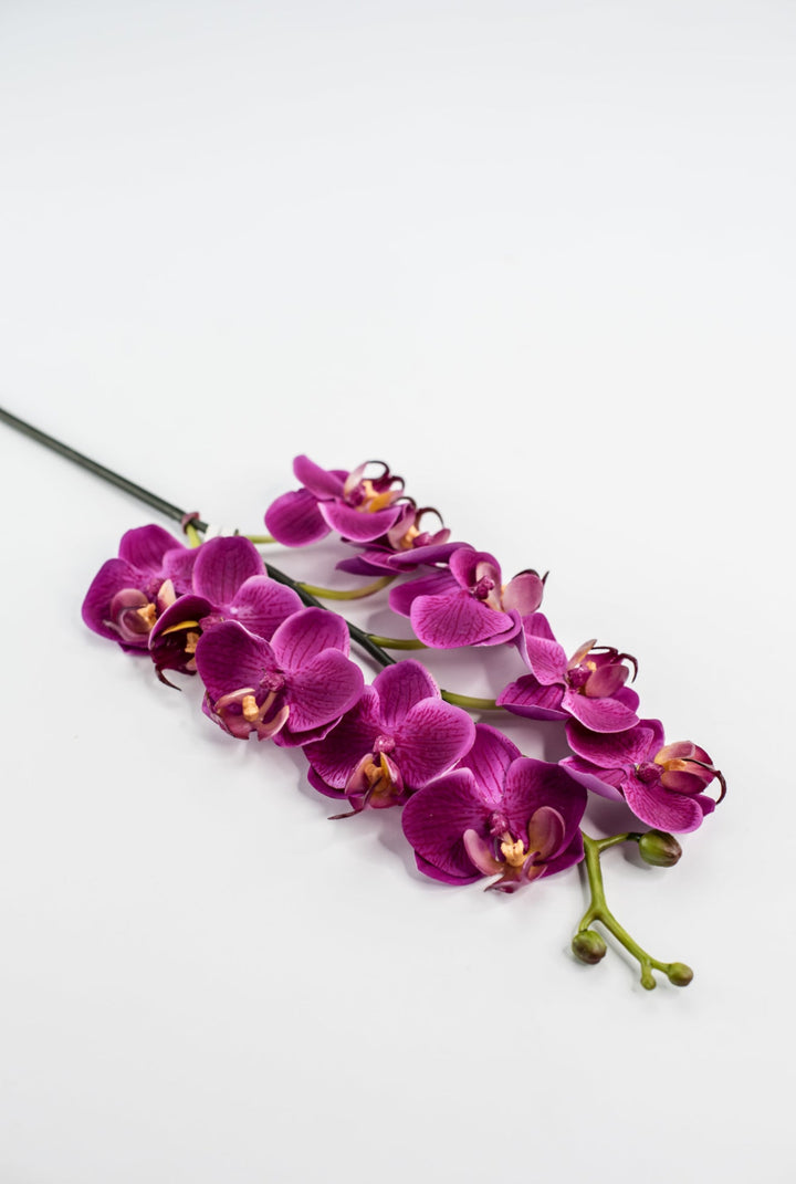 Mini phalaenopsis, orchid Flower spray - Greenery MarketArtificial FloraMTF23889 FUSH