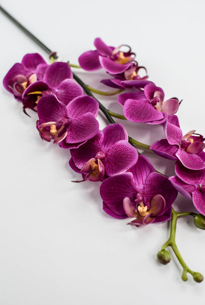 Mini phalaenopsis, orchid Flower spray - Greenery MarketArtificial FloraMTF23889 FUSH