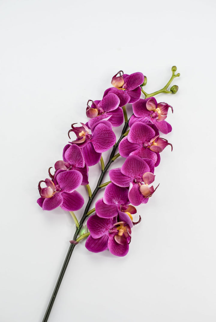 Mini phalaenopsis, orchid Flower spray - Greenery MarketArtificial FloraMTF23889 FUSH