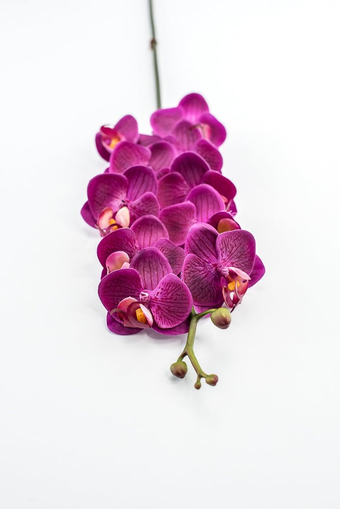 Mini phalaenopsis, orchid Flower spray - Greenery MarketArtificial FloraMTF23889 FUSH
