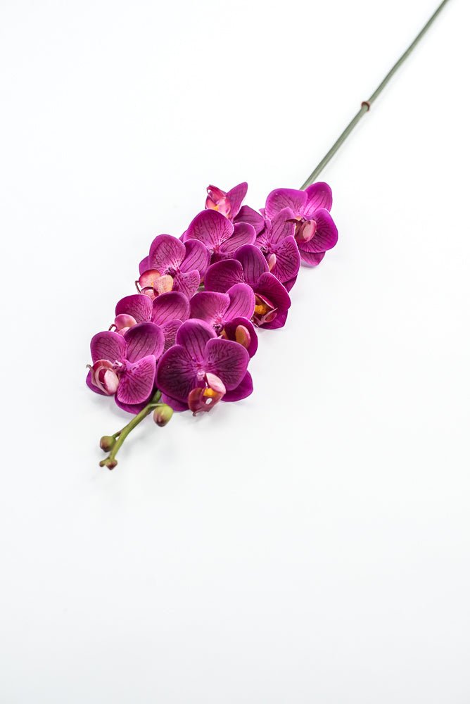 Mini phalaenopsis, orchid Flower spray - Greenery MarketArtificial FloraMTF23889 FUSH