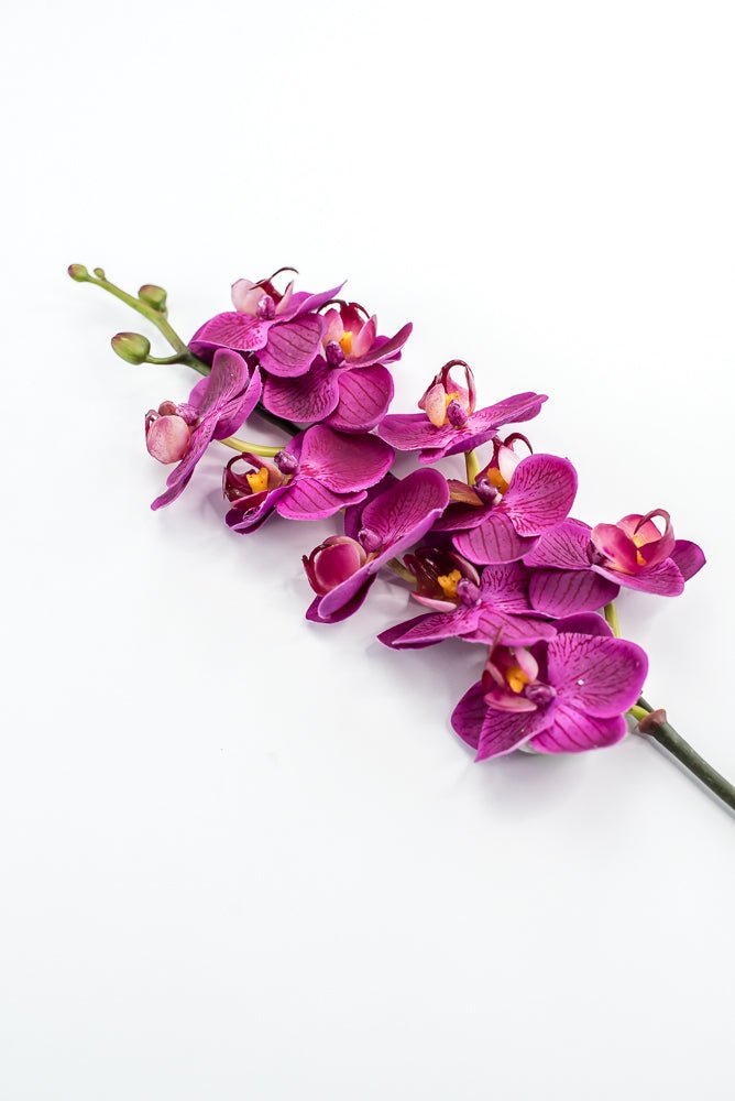 Mini phalaenopsis, orchid Flower spray - Greenery MarketArtificial FloraMTF23889 FUSH