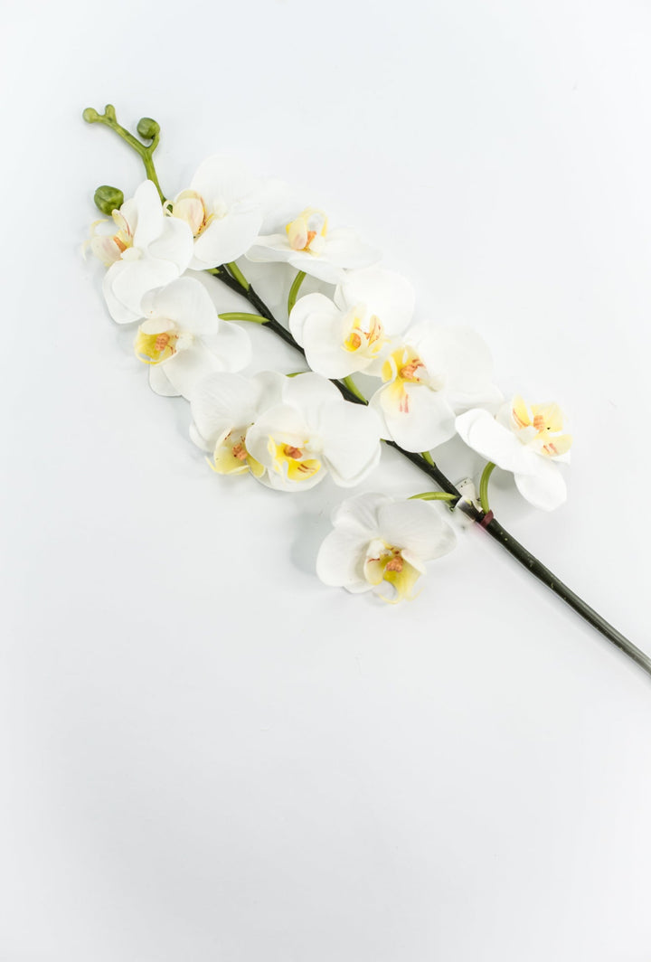 Mini phalaenopsis, orchid flower stem - white - Greenery MarketArtificial FloraMTF23889 WHT