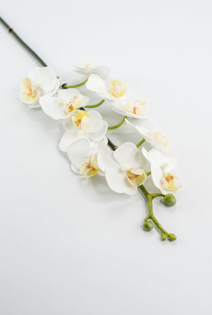 Mini phalaenopsis, orchid flower stem - white - Greenery MarketArtificial FloraMTF23889 WHT