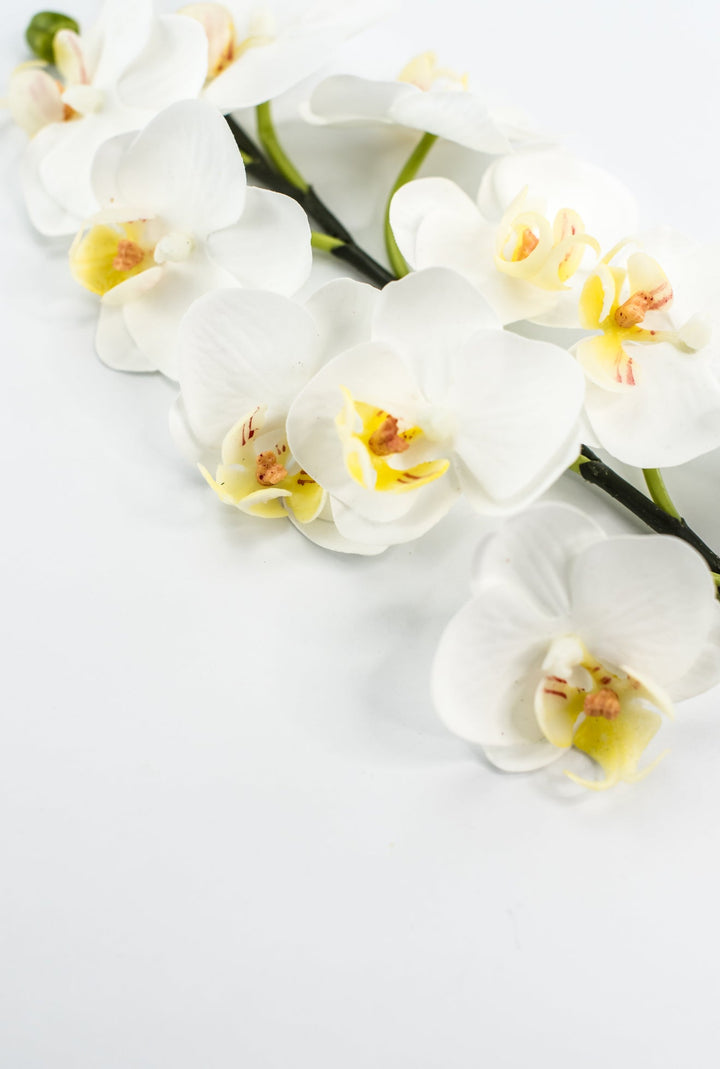 Mini phalaenopsis, orchid flower stem - white - Greenery MarketArtificial FloraMTF23889 WHT