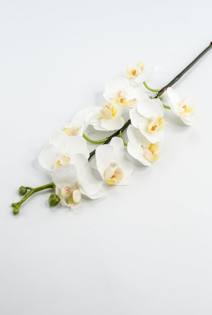 Mini phalaenopsis, orchid flower stem - white - Greenery MarketArtificial FloraMTF23889 WHT