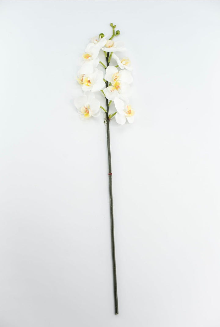 Mini phalaenopsis, orchid flower stem - white - Greenery MarketArtificial FloraMTF23889 WHT