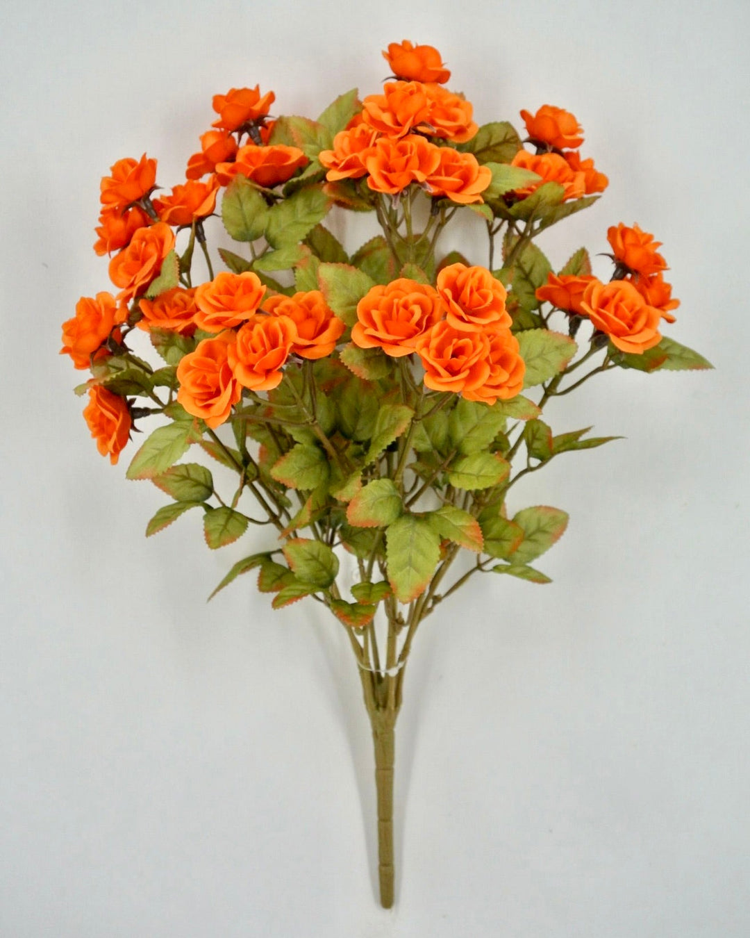 Mini Rose Bush - Orange - Greenery Market85206 - OR