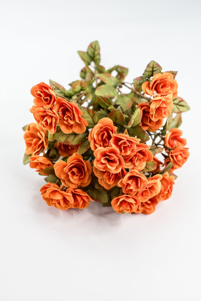 Mini Rose Bush - Orange - Greenery Market85206 - OR