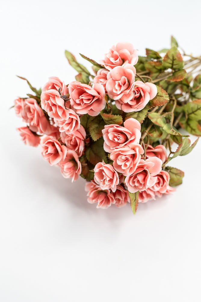 Mini Rose Bush - Salmon - Greenery Market85206 - CORAL