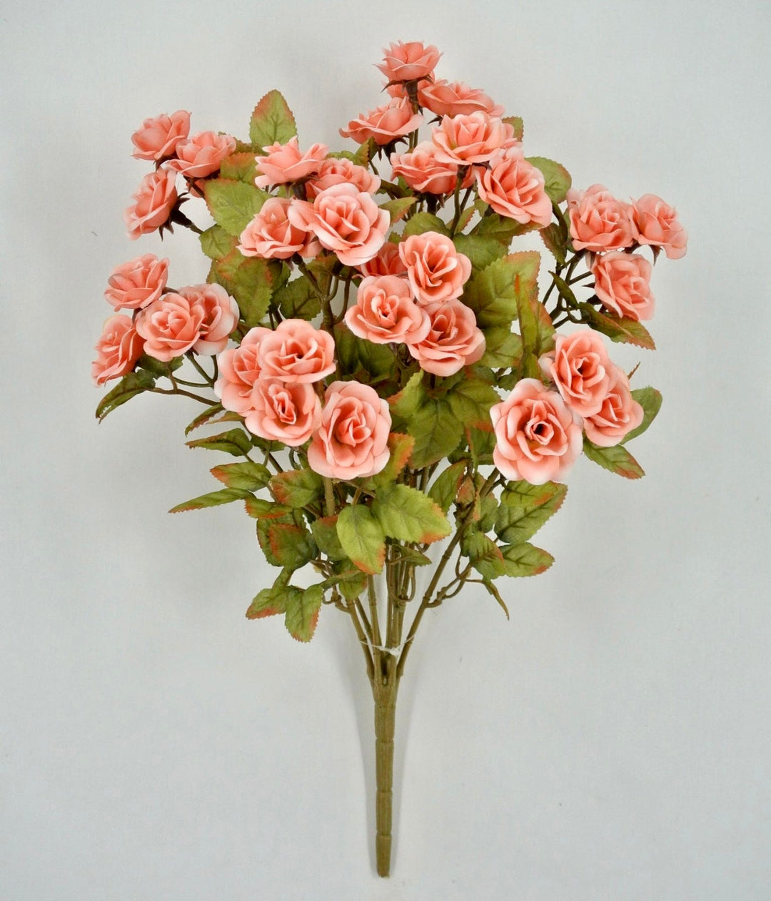 Mini Rose Bush - Salmon - Greenery Market85206 - CORAL
