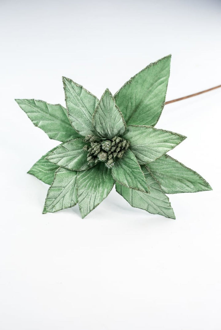 Mint green velvet poinsettia stem - Greenery MarketXS408774