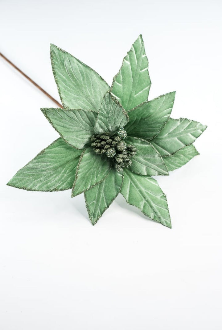 Mint green velvet poinsettia stem - Greenery MarketXS408774