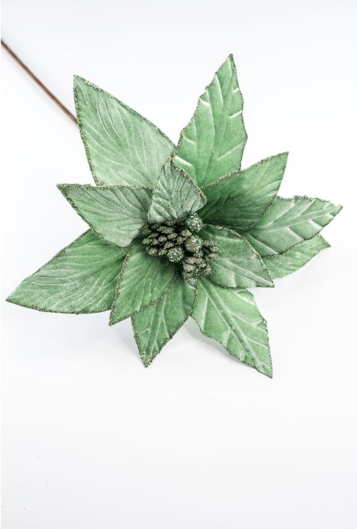 Mint green velvet poinsettia stem - Greenery MarketXS408774
