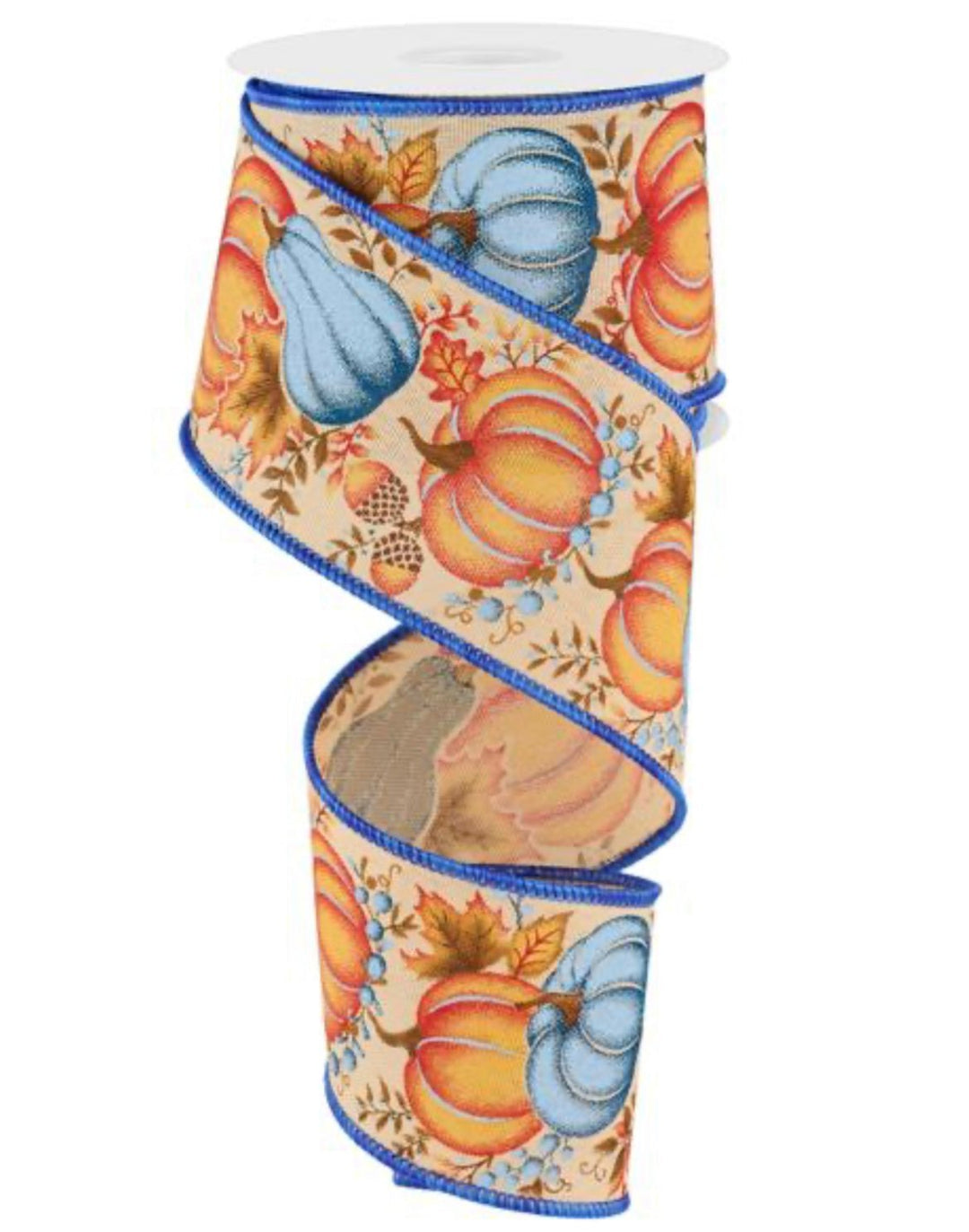 Mixed blues Pumpkin wired ribbon - Greenery MarketWired ribbonRGE1987JP