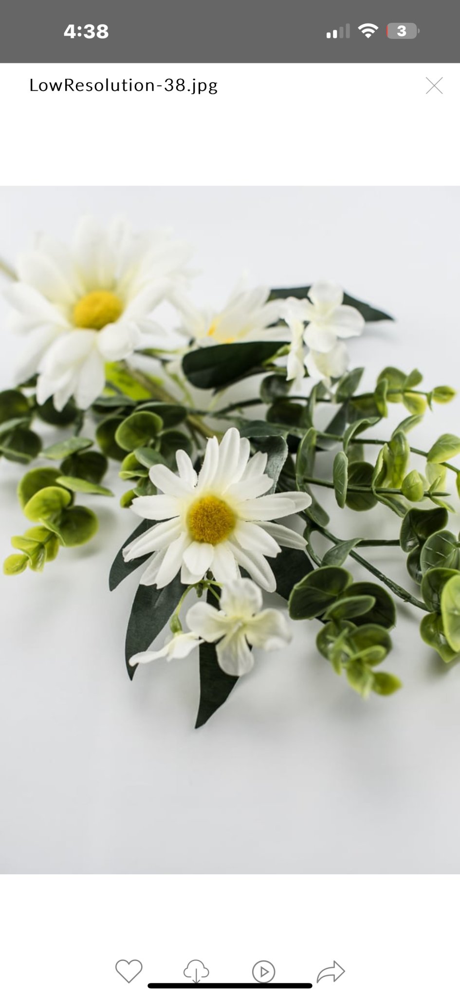 Mixed greenery and daisy flower pick - Greenery MarketArtificial Flora63539SP18