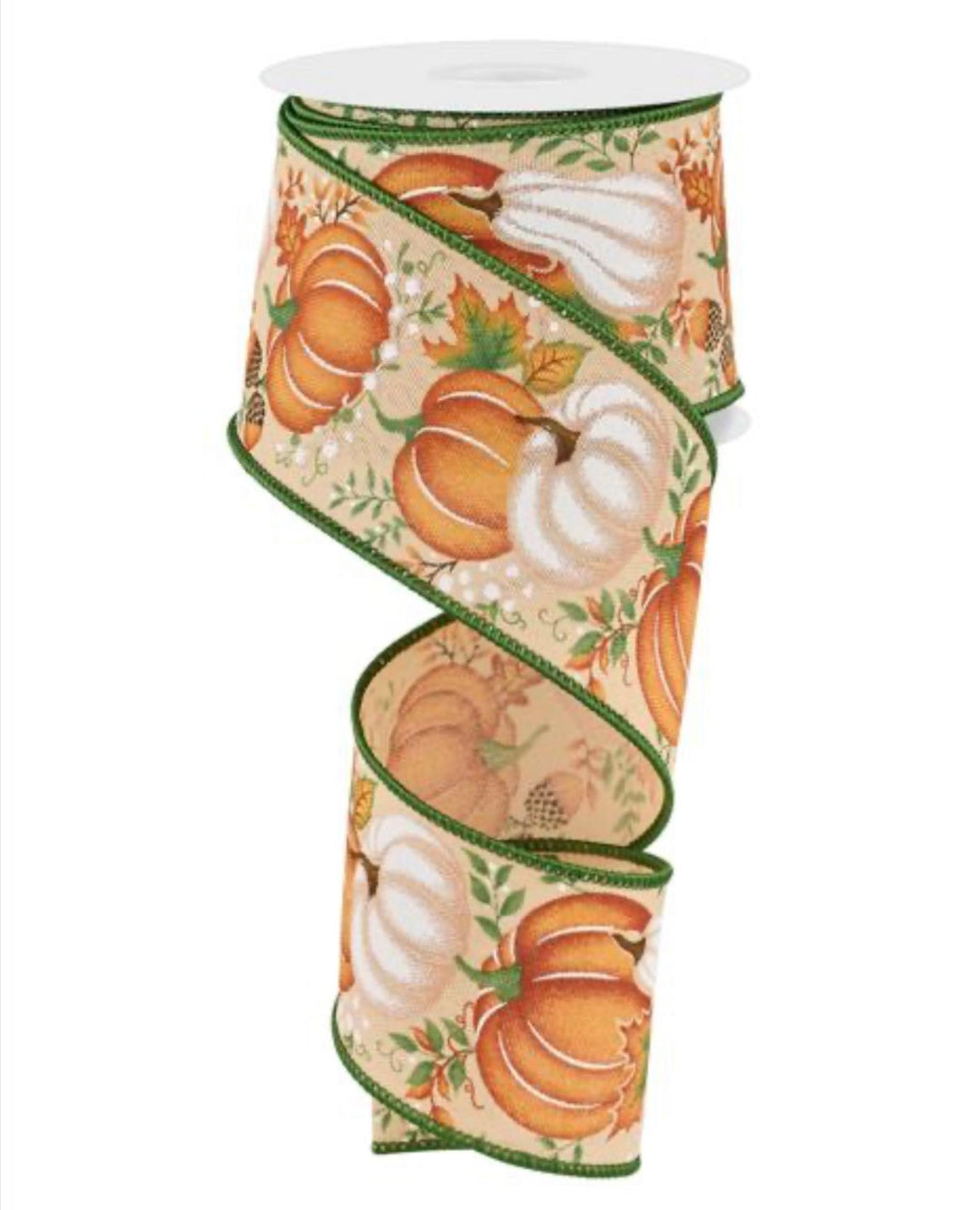 Mixed Pumpkin wired ribbon - Greenery MarketWired ribbonRGE19872J