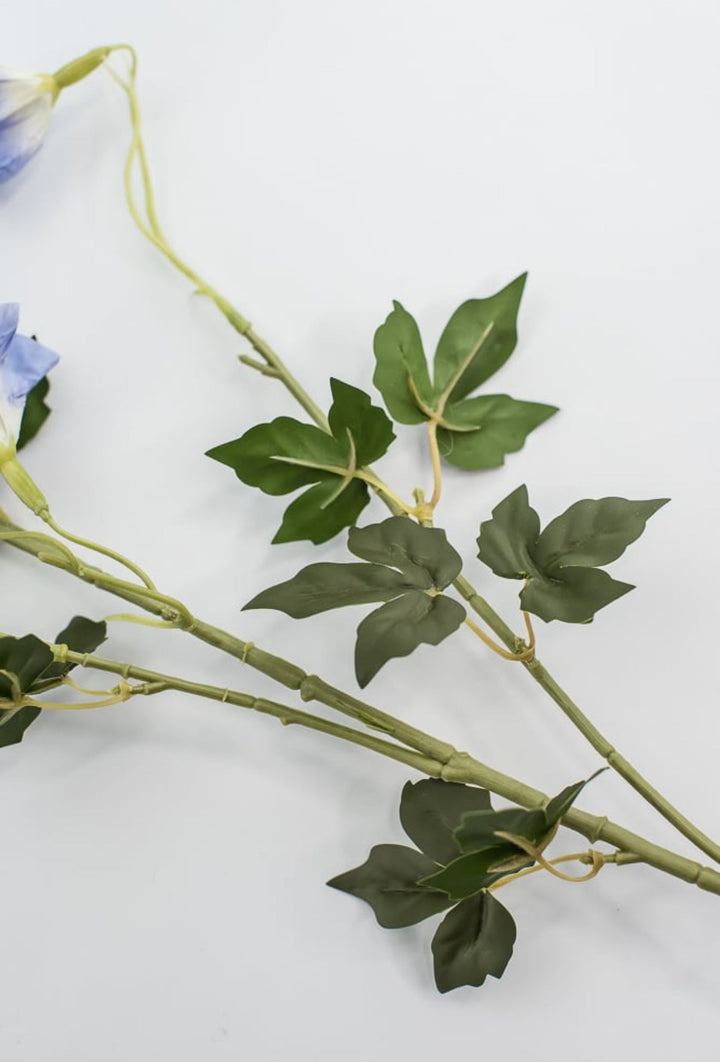 Morning glory spray - 36” - Greenery Market6468 - B