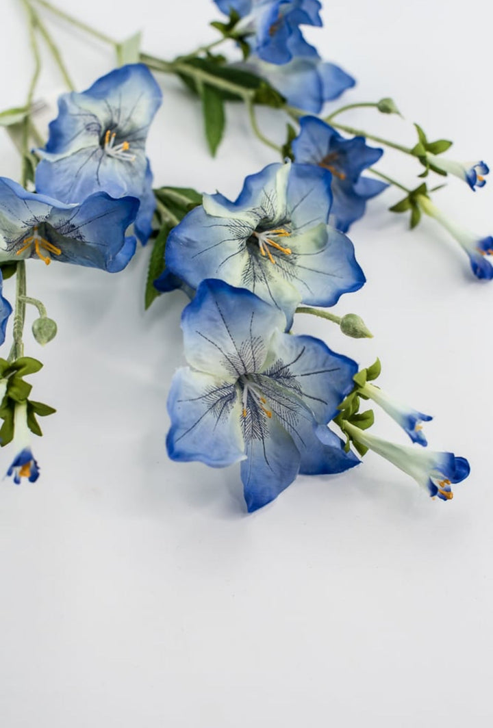 Morning glory spray - blue - Greenery Market5993 - b