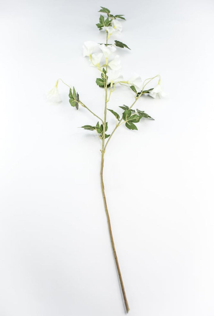 Morning glory spray - white - Greenery Market6468 - W