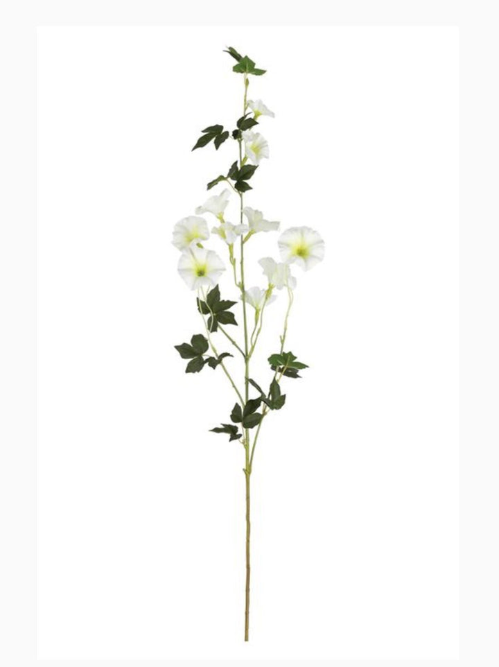 Morning glory spray - white - Greenery Market6468 - W