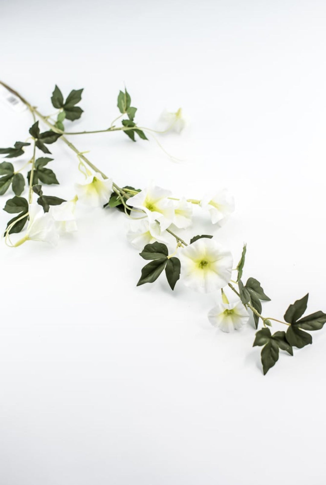 Morning glory spray - white - Greenery Market6468 - W