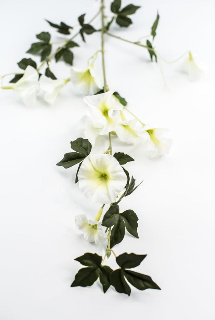 Morning glory spray - white - Greenery Market6468 - W