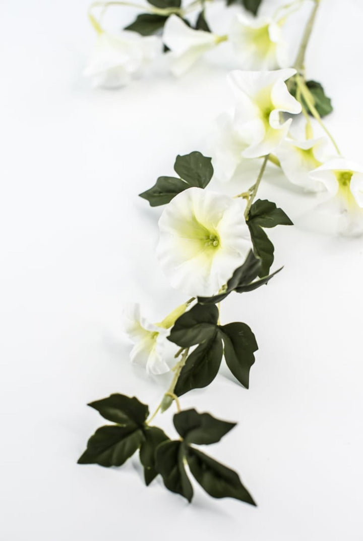 Morning glory spray - white - Greenery Market6468 - W