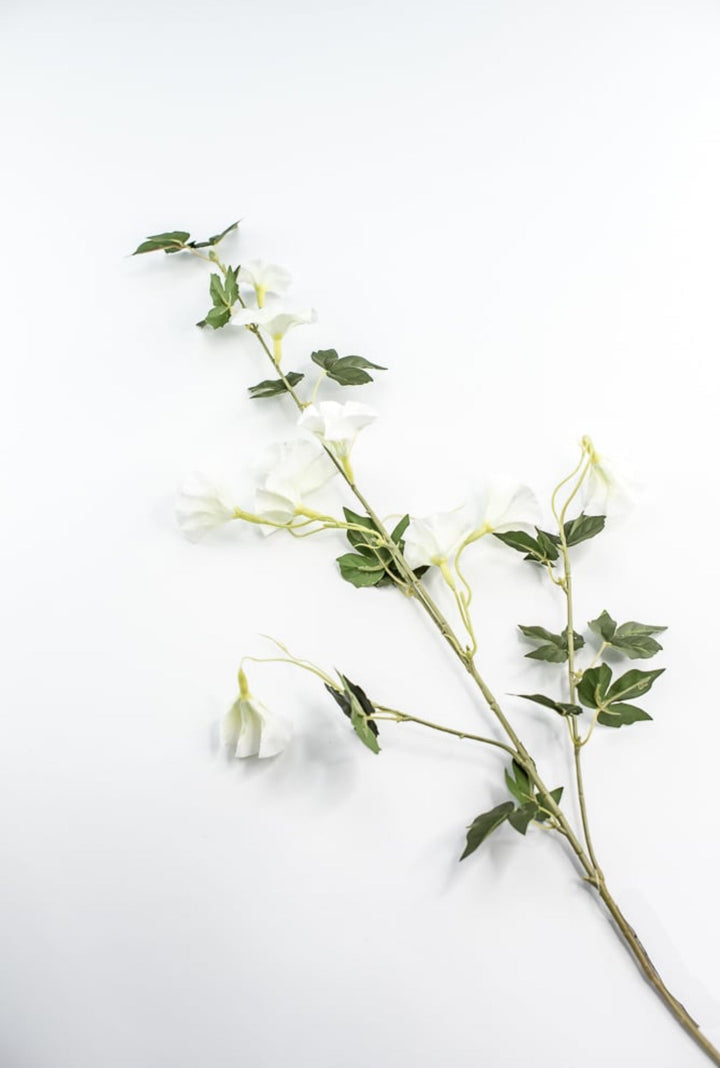Morning glory spray - white - Greenery Market6468 - W