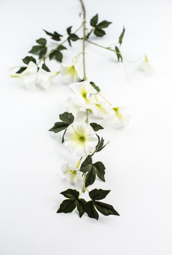 Morning glory spray - white - Greenery Market6468 - W