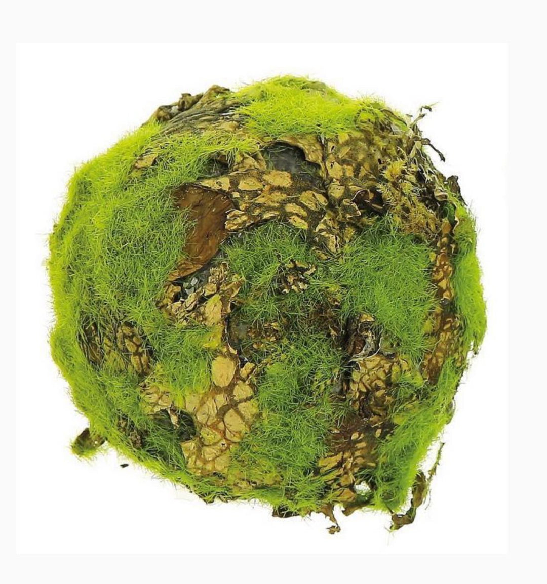 Moss and lichen orb ball - Greenery MarketAC316/M