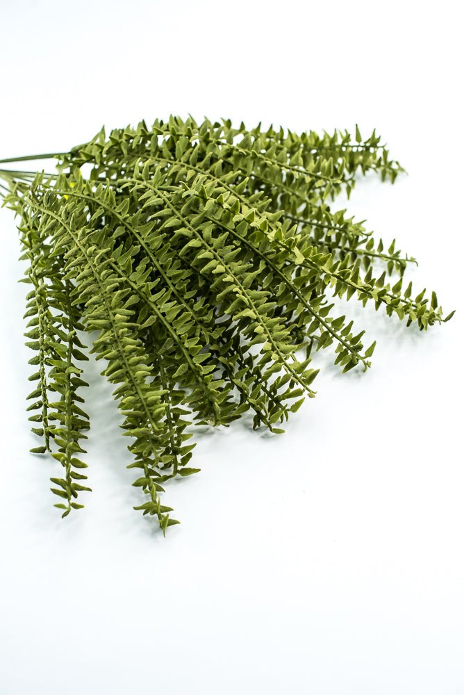 Moss Boston Fern Bush - Greenery Market13630GN