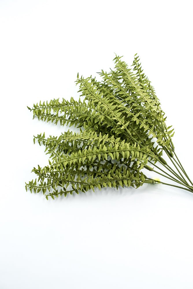 Moss Boston Fern Bush - Greenery Market13630GN