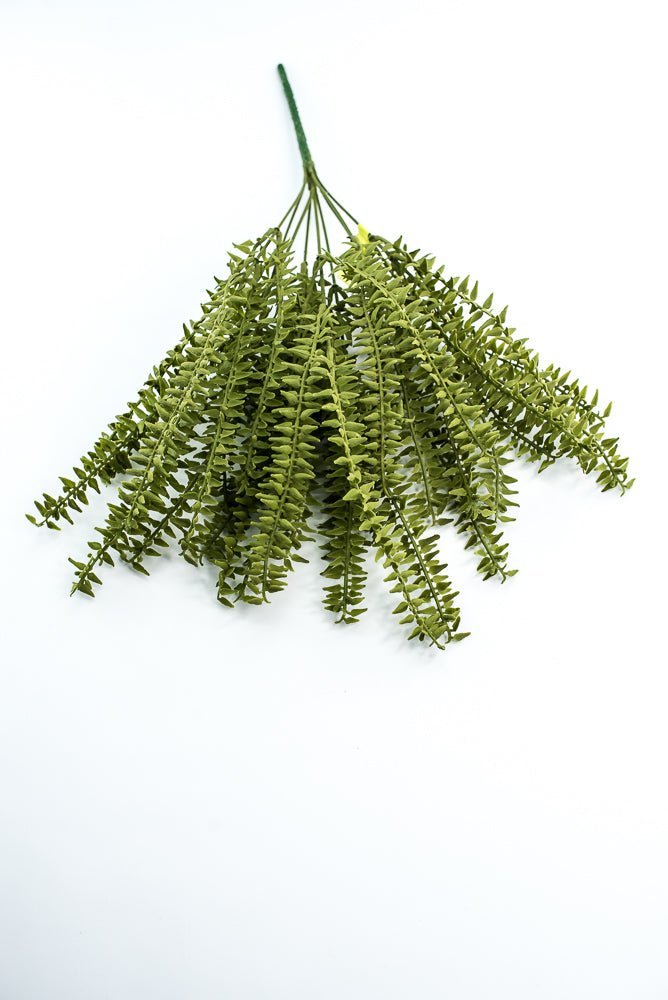 Moss Boston Fern Bush - Greenery Market13630GN