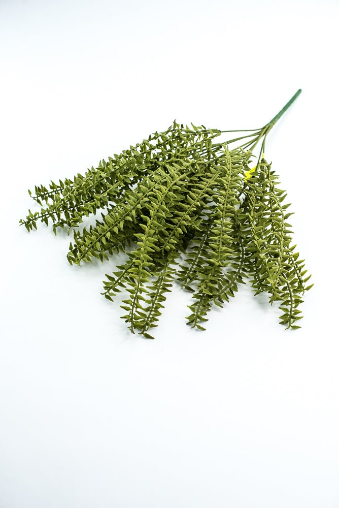 Moss Boston Fern Bush - Greenery Market13630GN