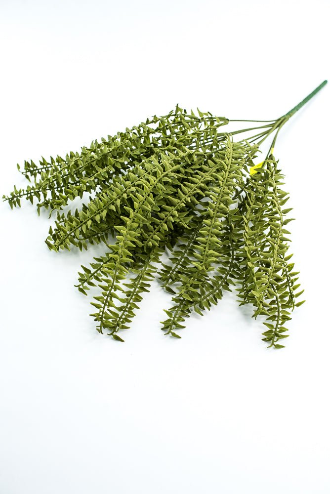 Moss Boston Fern Bush - Greenery Market13630GN