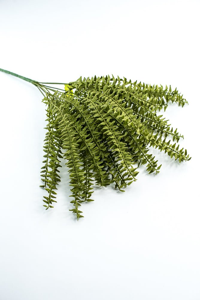 Moss Boston Fern Bush - Greenery Market13630GN