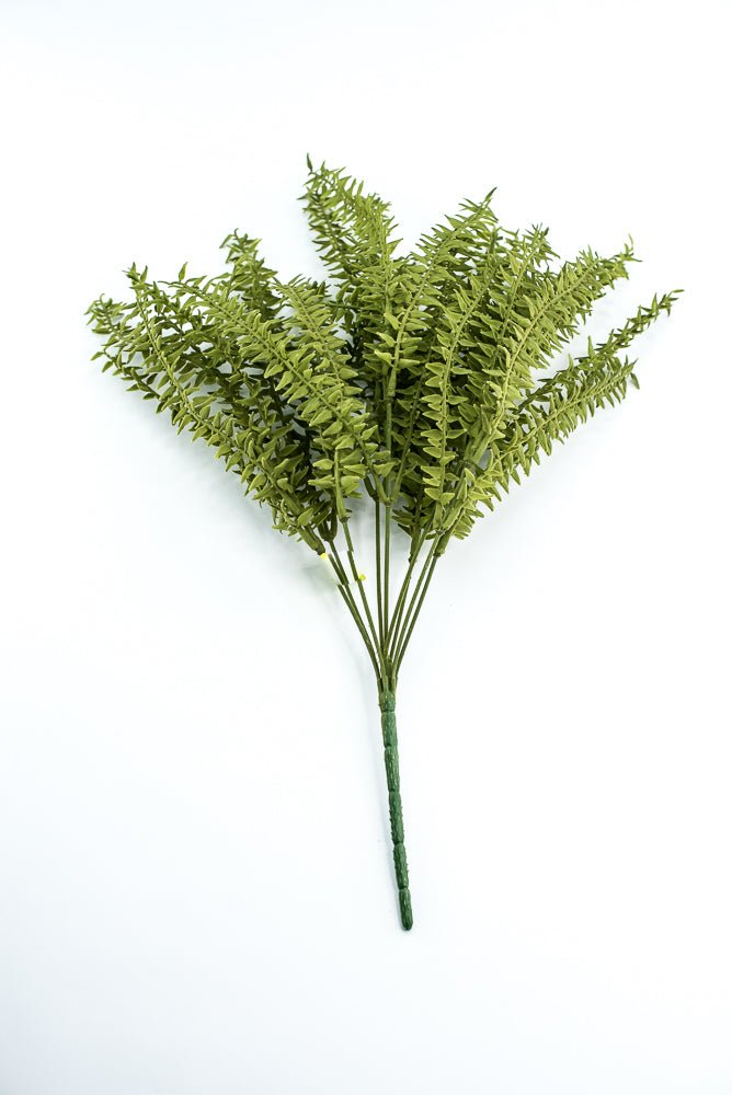 Moss Boston Fern Bush - Greenery Market13630GN