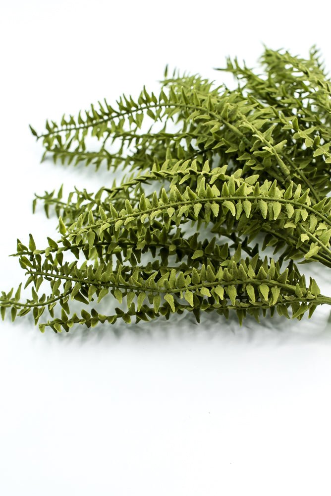 Moss Boston Fern Bush - Greenery Market13630GN