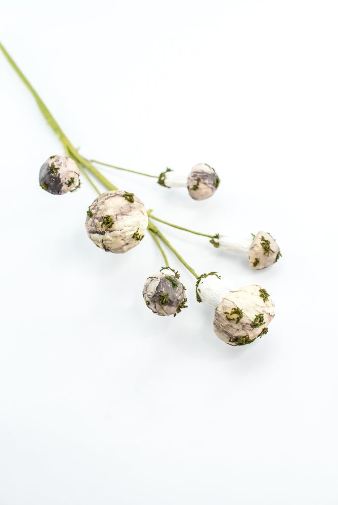 Mushroom Spray - Greenery market exclusive - Greenery MarketGM342SP17