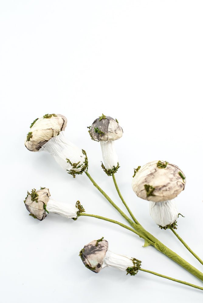 Mushroom Spray - Greenery market exclusive - Greenery MarketGM342SP17