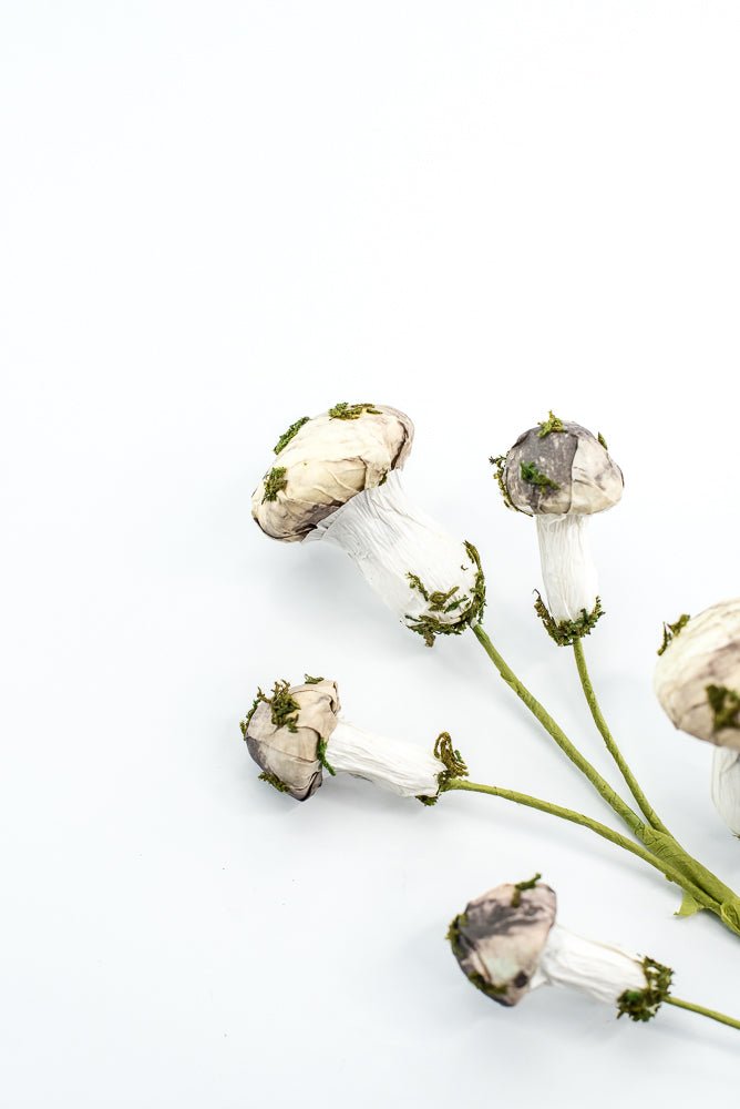 Mushroom Spray - Greenery market exclusive - Greenery MarketGM342SP17