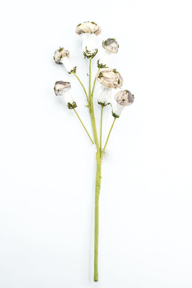 Mushroom Spray - Greenery market exclusive - Greenery MarketGM342SP17
