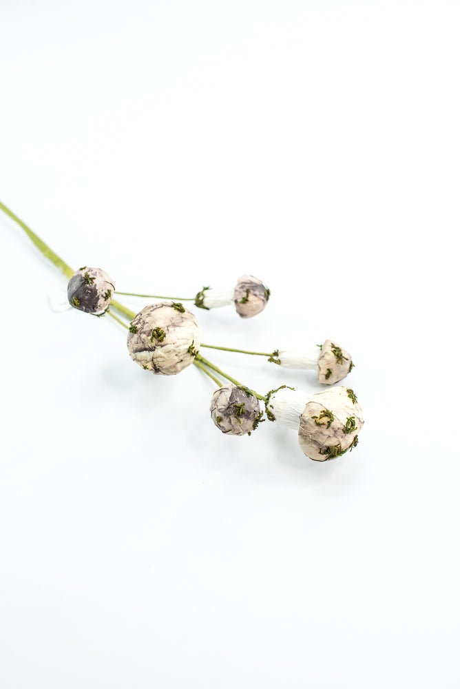Mushroom Spray - Greenery market exclusive - Greenery MarketGM342SP17