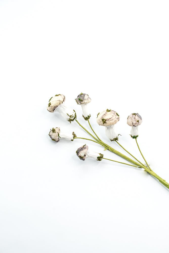 Mushroom Spray - Greenery market exclusive - Greenery MarketGM342SP17