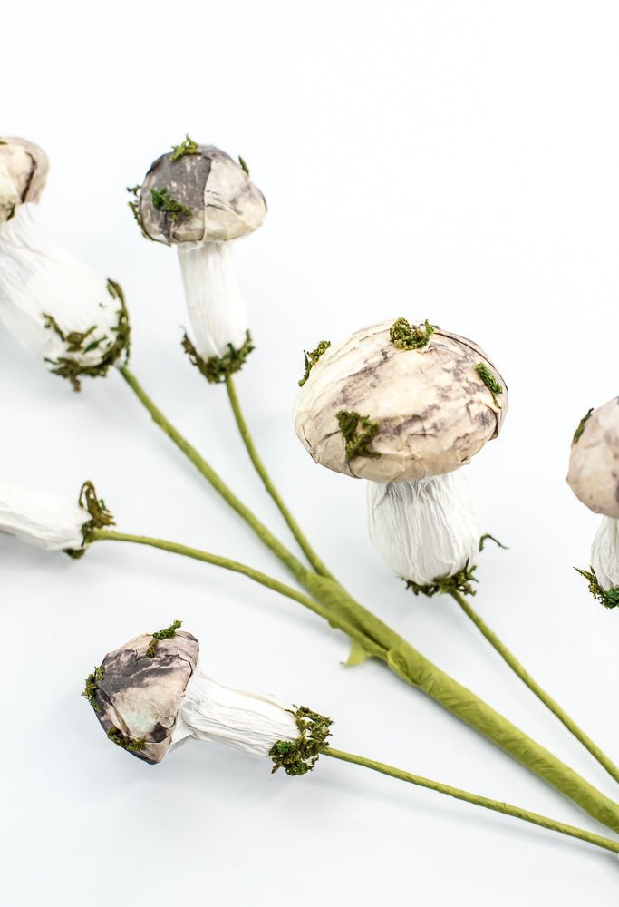 Mushroom Spray - Greenery market exclusive - Greenery MarketGM342SP17
