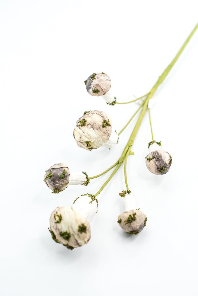 Mushroom Spray - Greenery market exclusive - Greenery MarketGM342SP17
