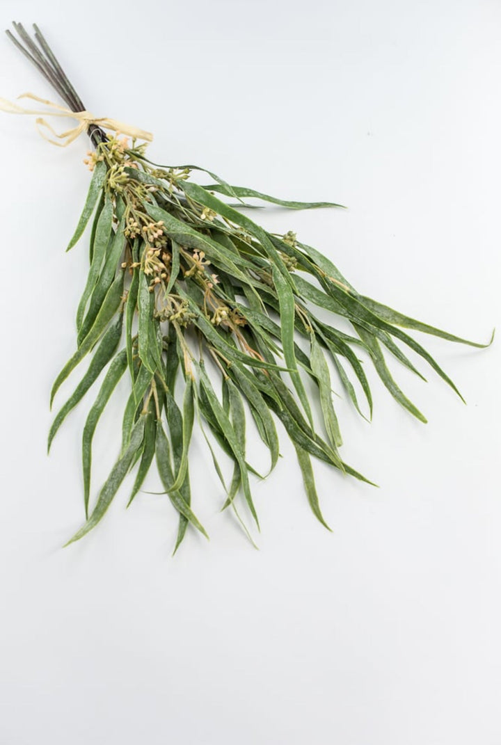 Narrow leaf and seeds bundle - Greenery Marketartificial greeneryFl6209 - FG