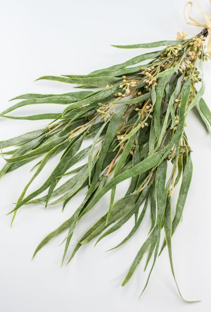 Narrow leaf and seeds bundle - Greenery Marketartificial greeneryFl6209 - FG