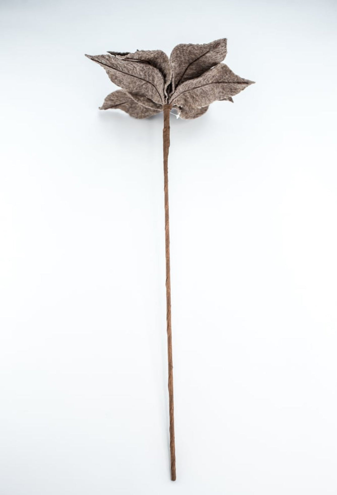 Natural light brown / khaki felt poinsettia stem - Greenery MarketXS4114C1